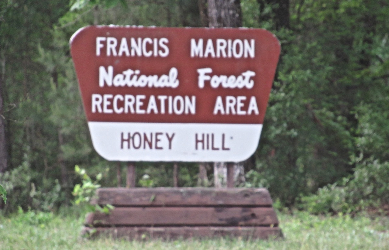 Honey Hill