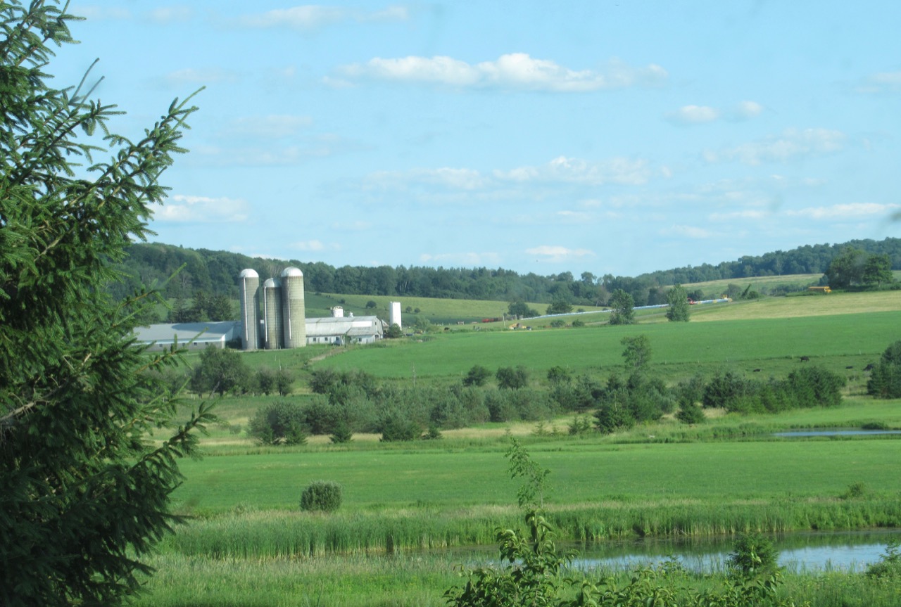 NY farms view
