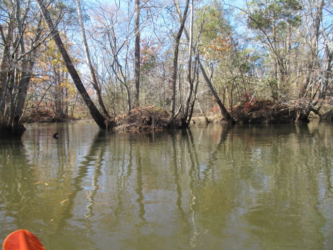 Petersburg Swift Creek hummocks